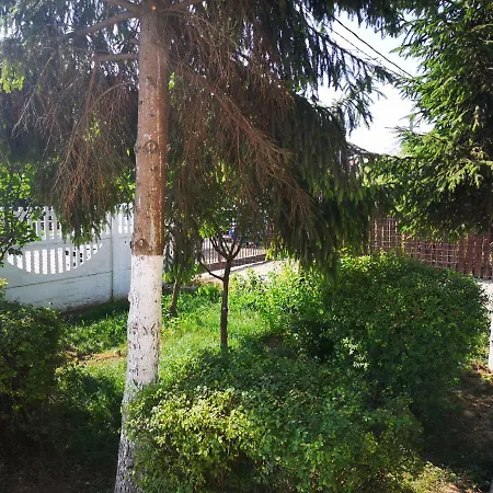 Vila * Schitu